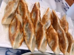 茴香肉锅贴-东方饺子王(文化东路店)