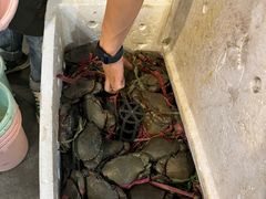-瑞丽活螃蟹(芒市店)