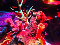 -沈阳海洋探索中心