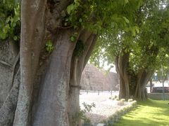 -龙环葡韵住宅式博物馆