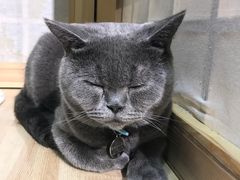-小时光咖啡馆(开森度假森林店)