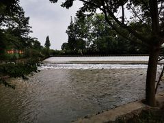 -桤木河湿地公园