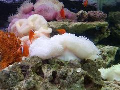 -海南热带野生动植物园