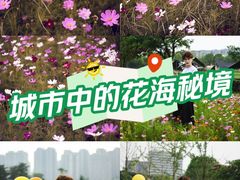 -洋湖国家湿地公园