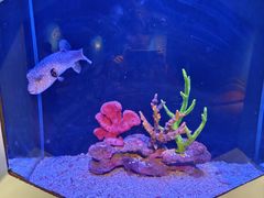 -海合安武汉极地海洋公园