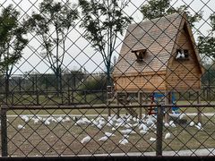 -祥源·阜阳生态乐园