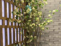 -湊湊火锅·茶憩(和平大悦城店)