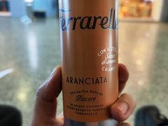 -米兰马尔彭萨国际机场