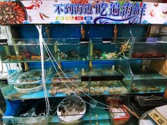 水产区-东极岛海鲜
