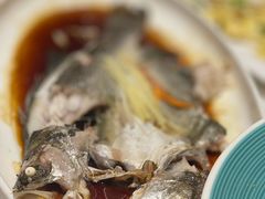 -马白开来特色羊排揪片子  (总店)