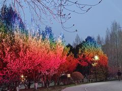 -朝阳公园游乐园