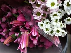 -双季花艺园艺市场(浦东店)