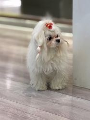 -染指坊日式美甲美睫设计中心