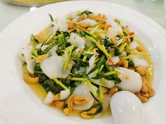 青芥芫茜捞花枝片-海宝酒家(中山四路店)