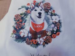 -Husky Go! 哈士奇体验馆·宠物咖啡厅狗咖