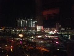 -拉斯维加斯永利酒店