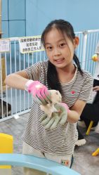 点击看大图 -神奇动物撸宠馆·羊驼·小浣熊·异宠(豫园店)