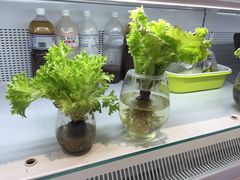 -盒马鲜生(宝地店)