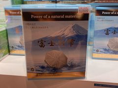 -富士山地震体验馆