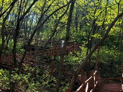 -大岭沟猕猴桃谷风景区