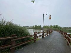 -白鹭湾湿地公园