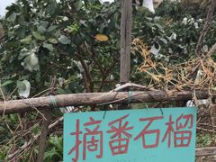-竹泉农庄·竹筒饭(从化店)