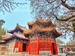 -北京艺术博物馆(万寿寺)