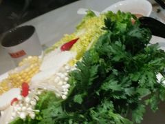 -潮牛禾记•潮汕鲜牛肉火锅(新亚洲店)