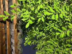 -大妙火锅·非物质文化遗产(东湖公园店)