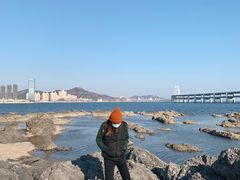 -黑石礁公园