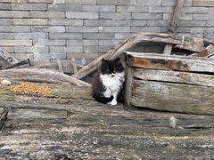 -金州副都统衙门博物馆