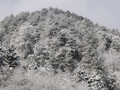 -四明山国家森林公园