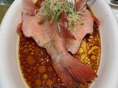 -聚福山莊·寻味顺德(北滘店)