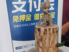 -中农国际动物医院24小时·猫科·骨科·急重症中心
