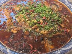 -新概念来凤鱼(璧山店)
