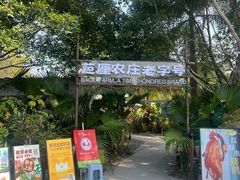 -芭厘农庄老字号·清远鸡