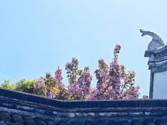 -南翔古镇
