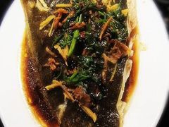 冬菜蒸鲩鱼-荔枝楼酒家(员村东璟店)