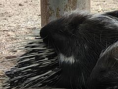 -鄂尔多斯野生动物园