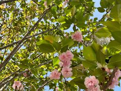 -石井坡(地铁站)