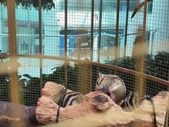 -正佳雨林生态植物园