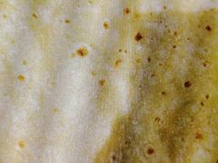 -香满园春饼·家常菜(东大桥店)