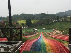 -望天湖