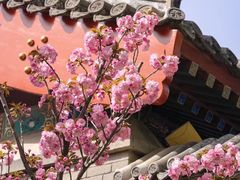 -北京颐和宾馆