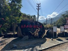 -海南霸王岭国家森林公园