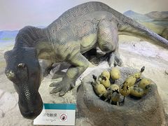 -国家自然博物馆