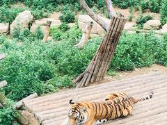 -大连森林动物园