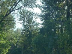 -南戴河国际娱乐中心