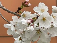 -山东省千佛山医院
