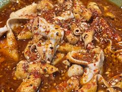 -高记什邡肖麻辣(成都店)